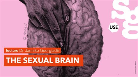 Watch Online Lecture The Sexual Brain Dr Janniko Georgiadis Youtube