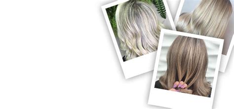 Introducir 154 Imagen Coloration Naturelle Cheveux Blancs Fait Maison