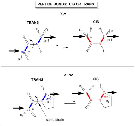 Chapter Protein Structure Chemistry