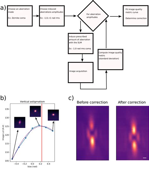 Alignment Of A SLM Based STED Depletion Beam AO Tutorials