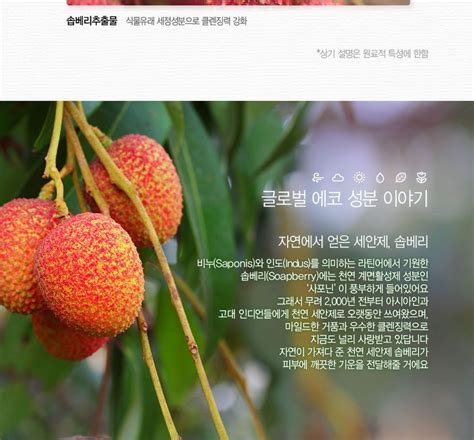 The Saem Natural Condition Scrub Foam - Deep Pore Cleansing | YesStyle