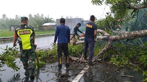 Hujan Deras Disertai Angin Kencang Sebabkan Pohon Tumbang Di 3 Titik Di