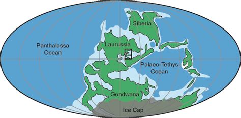 Carboniferous Geography Fossil Grove Glasgow