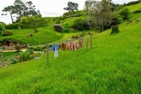 Hobbiton w Nowej Zelandii jak wygląda wizyta Guru Podróży