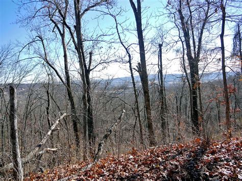 Mt. Sequoyah Woods, a trail of unlimited possibilities | Fayetteville Flyer