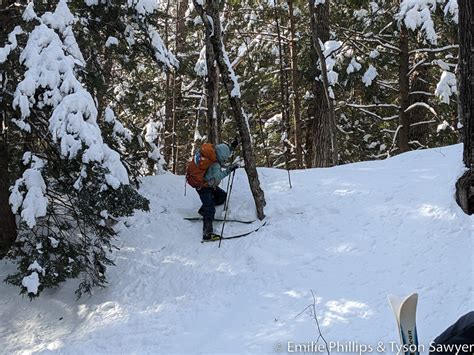 Bear Notch Ski Touring Center – A Family Adventure