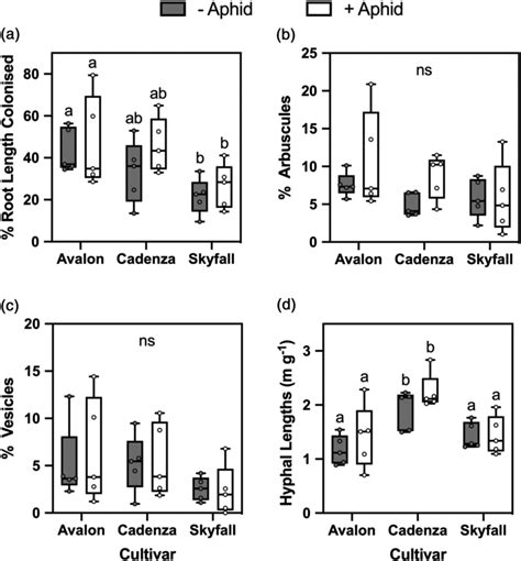 Arbuscular Mycorrhizal Colonisation Of Roots And Soils Of Three Wheat