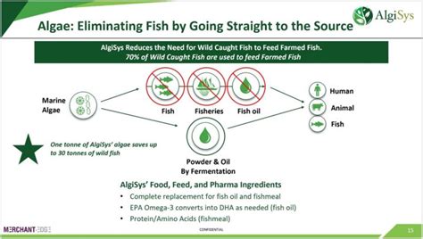 Mishkat Agritech Farms With Fresh Shortcuts To Consumers Hydroponic