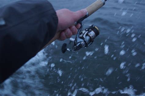 Fiskedagbog Dk 2016 02 21 En Uventet Fiskedag