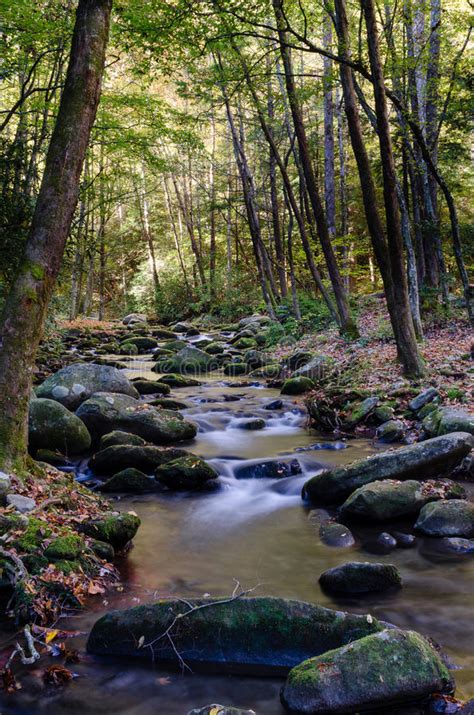 Creek Lined By Rocks And Trees Stock Photo Image Of Tennessee Nature