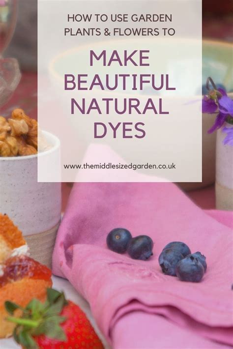 Natural Dye From Your Garden Beautiful Creative And Easy Natural