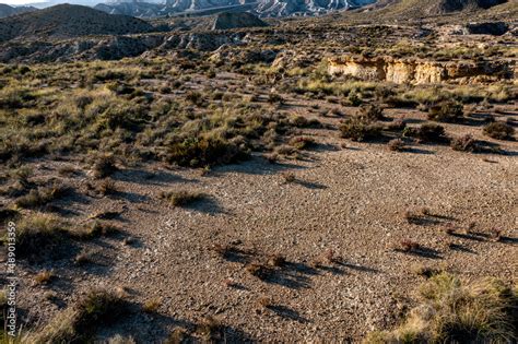 Tabernas Desert Stock Photo | Adobe Stock