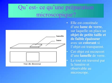 PPT REALISER UNE PREPARATION MICROSCOPIQUE PowerPoint Presentation