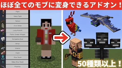 Mod級！？ほぼ全てのモブに変身できるアドオンが凄すぎる！！！【ps4ps5switchスマホ対応】【アドオン紹介】 マイクラ