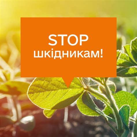 Инсектицид для повышения урожайности Эффективная борьба с вредителями
