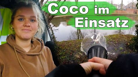 Coco Im Einsatz Tiernotruf 324 YouTube