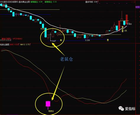 珍藏老鼠仓！【源码指标】老鼠仓信号提示