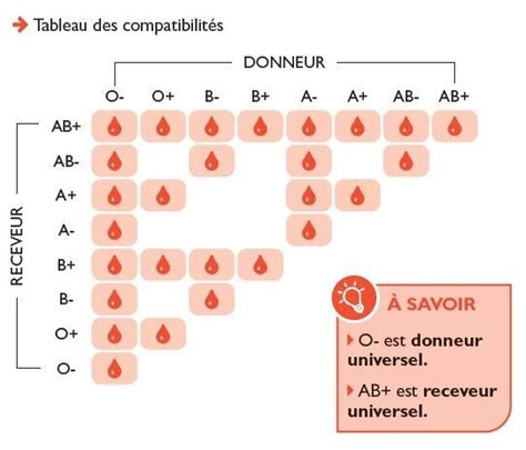 Tout Savoir Sur Le Don Du Sang