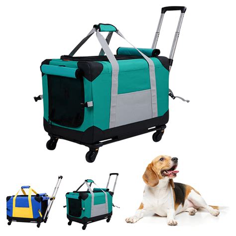 How Much Weight Can A Large Dog Carry at Sandra Moody blog
