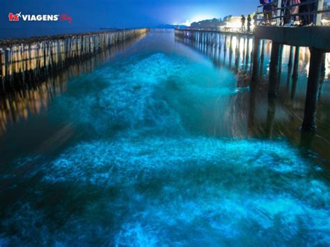 Bioluminescência Conheça 6 praias que possuem esse fenômeno