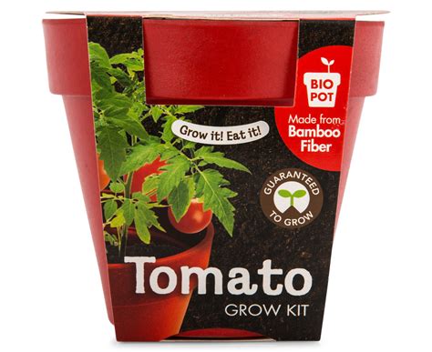 Mr Fothergill S Boutique Garden Bio Pot Tomato Grow Kit Catch Au