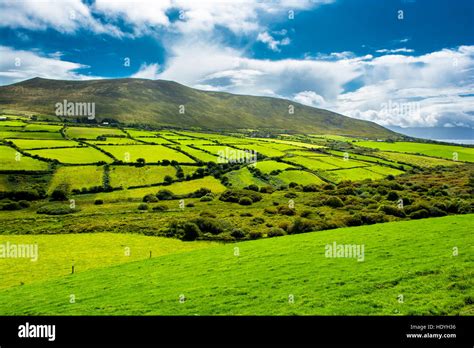 Rural Landscape With Pastures In Ireland Stock Photo: 129069226 - Alamy