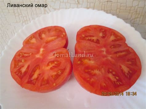 Томат Омар Ливанский: описание сорта, отзывы, фото | tomatland.ru