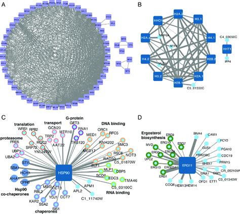 Retrospective Analysis Identifies Functional Clusters Of Genes In C