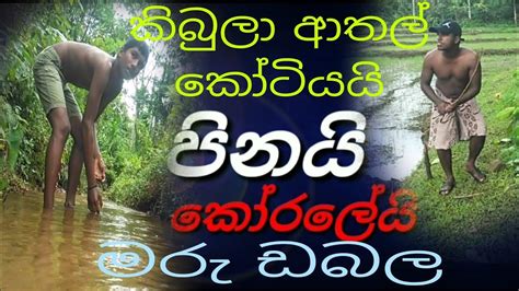 සුපිරියක් ඒක නම් කිබුල් සීන් ශක බුං මරු ඩබලpinai Koraleijanai Priyai