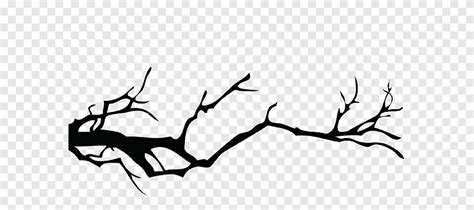 Grafica Di Branch Tree Silhouette Albero Ramificazione Arte Png PNGEgg