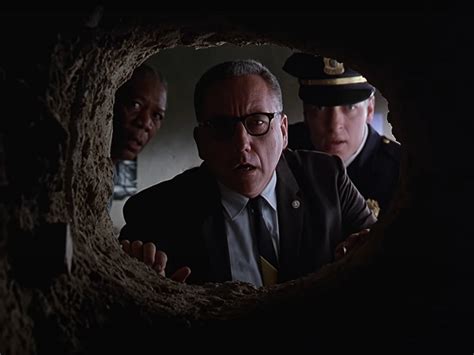 Shawshank Redemption Movie Review It S A Stampede