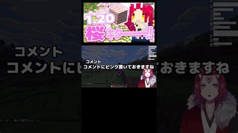 120アプデ！！マイクラに春が来た！！桜バイオームかわいい！！【minecraft マイクラ建築】ver120 Java版【戦国ローグ