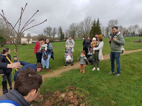 Op Ration Une Naissance Un Arbre Verruyes