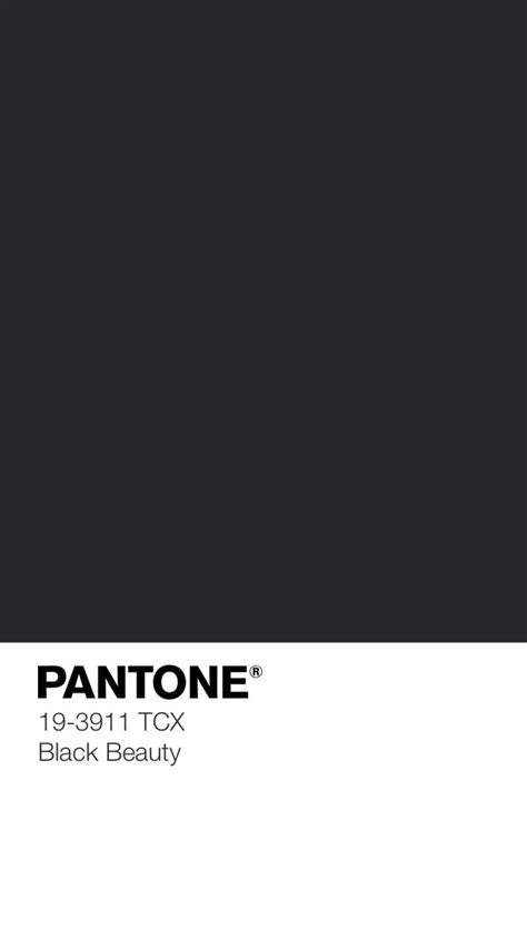 Pantone 19 3911 Tcx Black Beauty Color Palette Design Pantone Colour