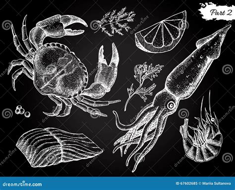 Vector Vintage Hand Drawn Seafood Set Stock Vector Illustration Of