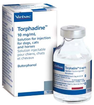 Успокоительные и снотворные для кошек: для перевозки, при стрессе ...