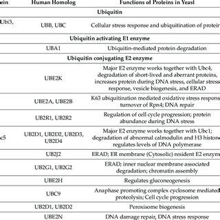 Current Drug Targets And Molecular Events Occurring In The Alzheimer S