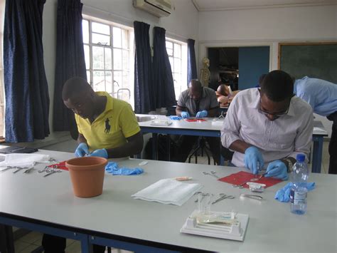 Hugh Greenwood Skills Course, Malawi 2015 | British Association of ...