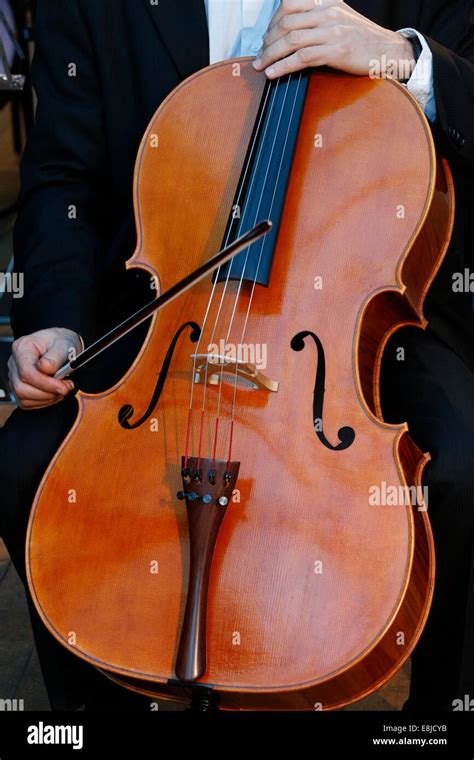 Violoncello High Resolution Stock Photography And Images Alamy