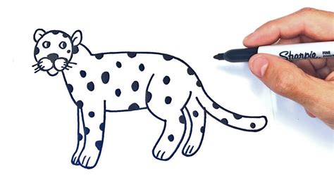 C Mo Dibujar Un Leopardo Paso A Paso Dibujo De Leopardo