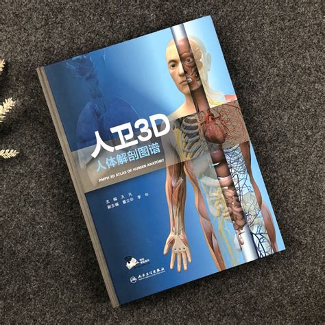 Купить Человеческий образный 3D тело человека Анатомическая карта тело ...