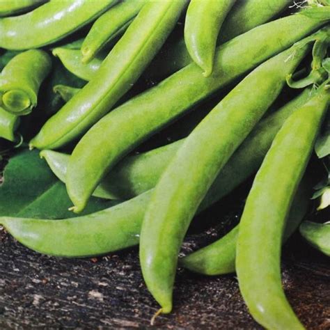 Buy Sugar Snap Peas Delikett 100 Gr Affordable Gardens4you Ie