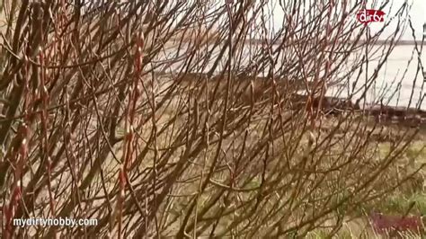 My Dirty Hobby Schnuggie S June Hot Teasers Porn Videos