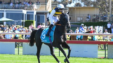 Melbourne Cup Speed Guide 22 Horses Wiped Out In 60 Seconds The