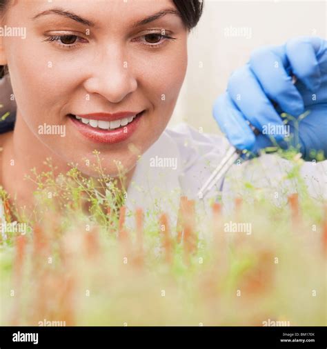 Female Scientist Researching On Plants Hi Res Stock Photography And