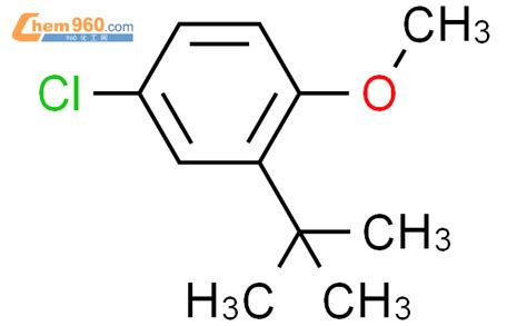 Benzene Chloro Dimethylethyl Methoxy Cas