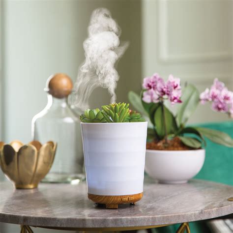 Potted Succulent Essential Oil Diffuser