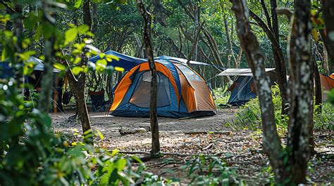 Dome Tents Camping In Forest Camping Site Background, Scene, Tranquil, Travel Background Image ...