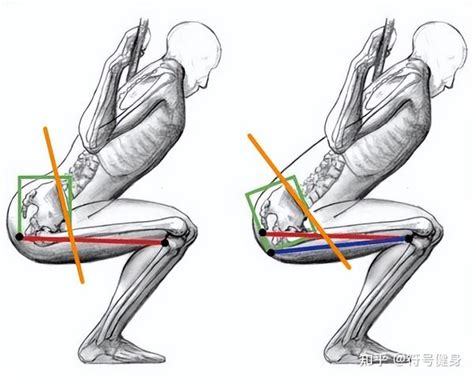 深蹲腰痛？看看你属于哪种情况？ 知乎
