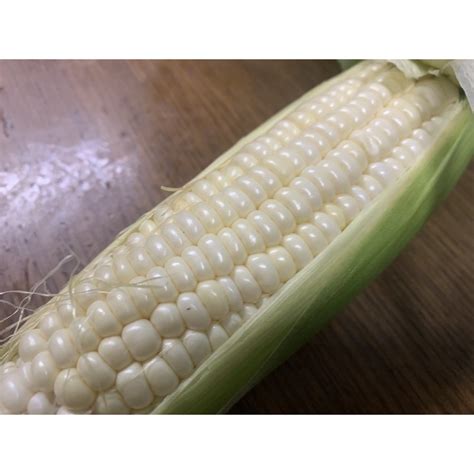 BUY 7 Sticks Of Cameron Original Milk Corn Jagung Susu RM31 50